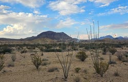 2701-B-E Mathews Drive, Terlingua, TX 79852