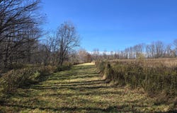 Hinds & Mican Road, Waymart, PA 18472
