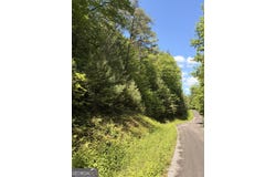 Shake Hollow, Rabun Gap, GA 30568