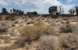 Plains, Blackbird, Inyokern, CA 93527
