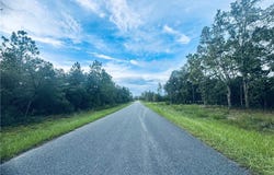SE 136th Terrace, Dunnellon, FL 34431