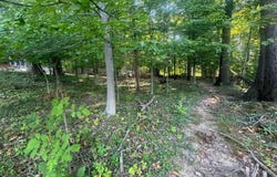 Lot 7 Highland Avenue, Bloomington, IN 47401