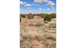 4.02 Dewitt, Snowflake, AZ 85937