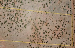 Tbd Rio Ranch, Concho, AZ 85924