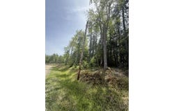Lot #17 Sunset Cove Way, Orland, ME 04472