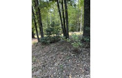 Holly Grove Lane lot: Parcel B, Bracey, VA 23919