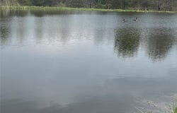 6281 E Hill Road, Caneadea, NY 14717