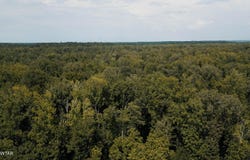 0 Middleburg Road, Lexington, TN 38351