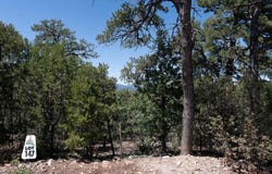 6 Los Pecos Lp, Tijeras, NM 87059