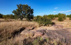 12805 Blackjack Rd., TX 76842