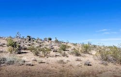 29779 Driftwood Drive, Meadview, AZ 86444