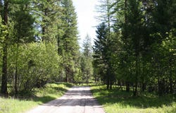 1450 Kienas Road, Kalispell, MT 59901