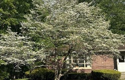 31 Lowell Ave, Westfield, MA 01085