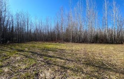 Lot E County Road 79, Littlefork, MN 56653