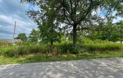 2180 Scotts Ferry Road, Versailles, KY 40383