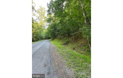 Lot 161 LEE RD, BASYE, VA 22810