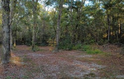 Salem Rd., Aynor, SC 29511