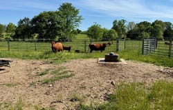 6557 Stoops Road, Summersville, MO 65571
