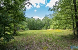 1203 county road 303, Princeton, AL 35654