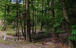 55 Mountain View Drive, Moultonborough, NH 03253