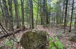 2.3ac BLACK FOREST RD, Presque Isle, WI 54557