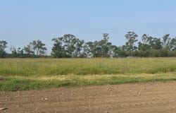 Parcel 15 Karnes Road, Glen Arbor, MI 49636