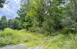 1460 11, Castle Creek, NY 13744
