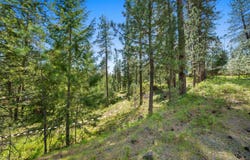 230XX N Crescent Rd, Colbert, WA 99005
