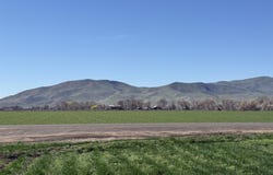Ferrel, Weiser, ID 83672