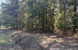 Tract 18 S Highway 167, Sheridan, AR 72150