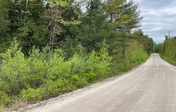 Misty Lane, Brownfield, ME 04010