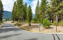 503 Redtail Loop, Clio, CA 96106