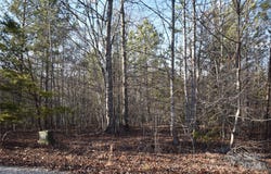 Tayberry Drive lot: 74, Nebo, NC 28761