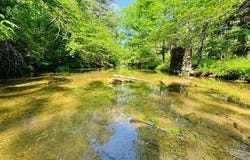 000 CR 127, Calico Rock, AR 72519