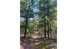 Tbd County Road 2330, Salem, MO 65560