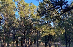 3 Dancing Hawk Drive, Pecos, NM 87552