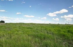 2800 N CR 294, Early, TX 76802