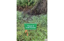 TBD 2 Dooley Ferry, Texarkana, AR 71854