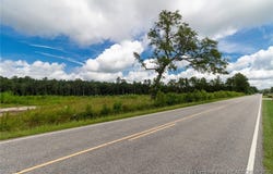 Meadow Road, Lumberton, NC 28358