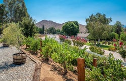 3627 Spanish Bit Drive, Acton, CA 93510