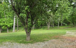 22 Smokey Creek Cove, Blairsville, GA 30512