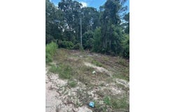 161 POSSUM WALK Road, Satsuma, FL 32189