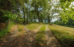 188 POUNDING BRANCH RD lot: 5.681 Ac, AFTON, VA 22920