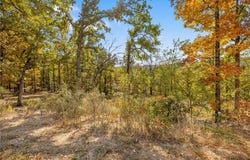 Lot 20 Restore Ridge, Harrison, AR 72601