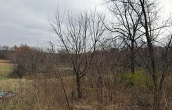 18074 Oriole Trail, Novinger, MO 63559