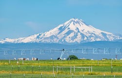 12444 SW Green Drive, Culver, OR 97734