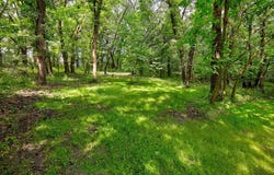 8453 Meadow Wood Drive, Dexter, IA 50070