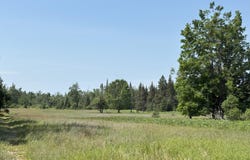 177 Acres Sawyer Road, Gaylord, MI 49735