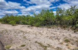 16 Borjon Dr, Eagle Pass, TX 78852