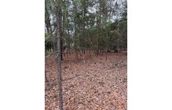 000 Red Fox Road, La Grange, TX 78945